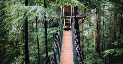 pn//uploads/d eb ee c dddb__