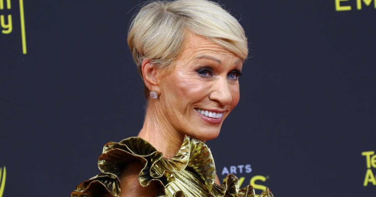 pn//uploads/cbb cf ef e fb__