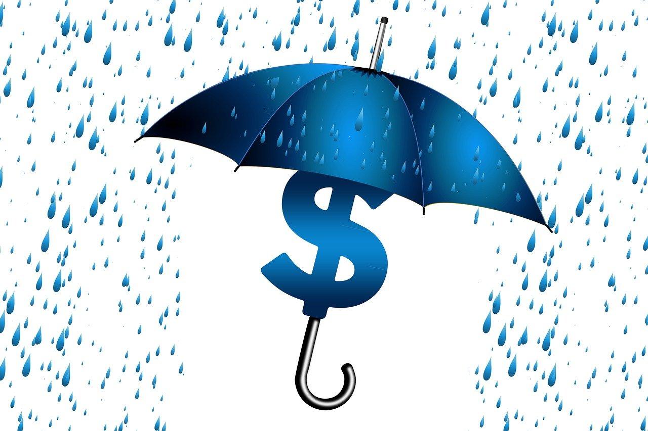 Umbrella over a dollar sign