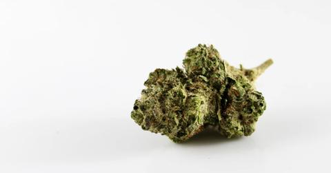 uploads///aurora cannabis new cco