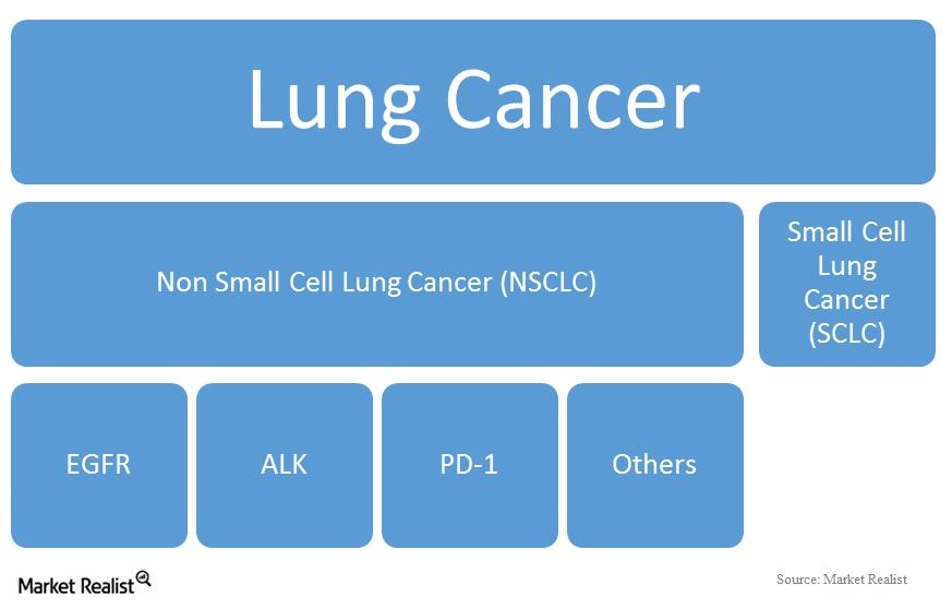 Other Drugs for Non-small Cell Lung Cancer