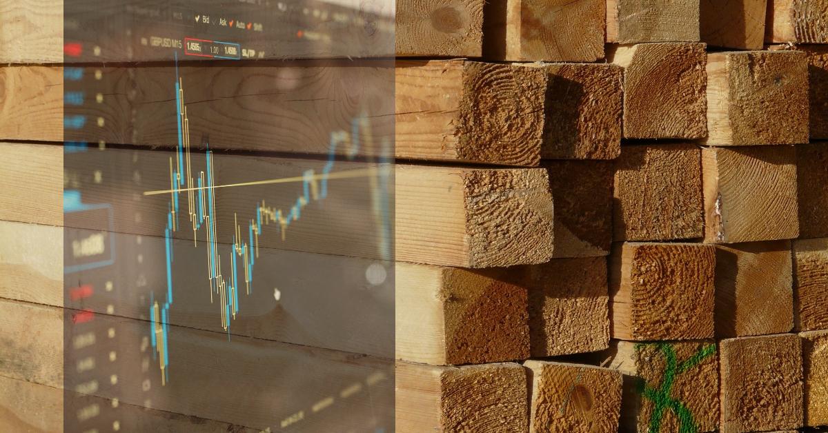 Should You Invest in Lumber Stocks?