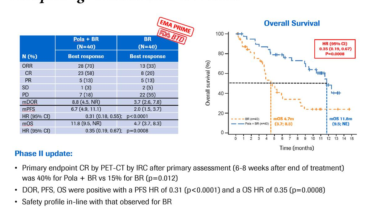 What to Expect from Roche’s Investigational Drug Polatuzumab Vedotin