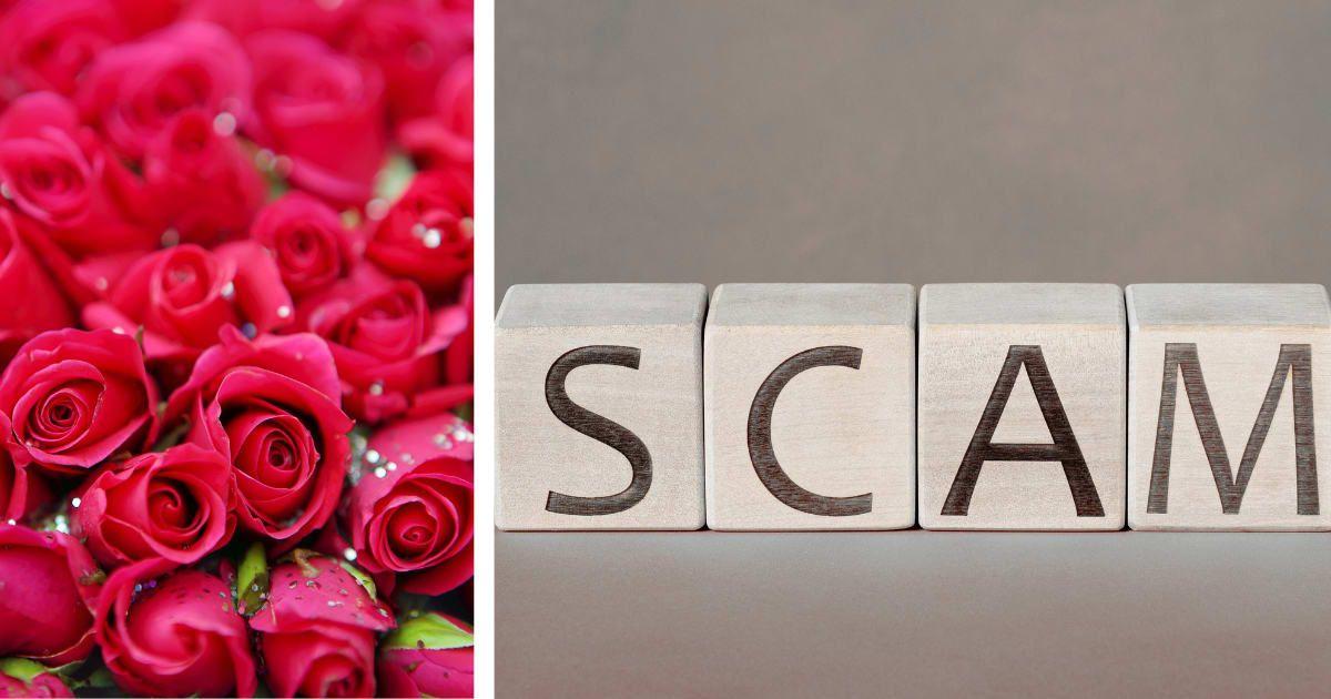 pn//uploads/cdf cd ee ac cfba__