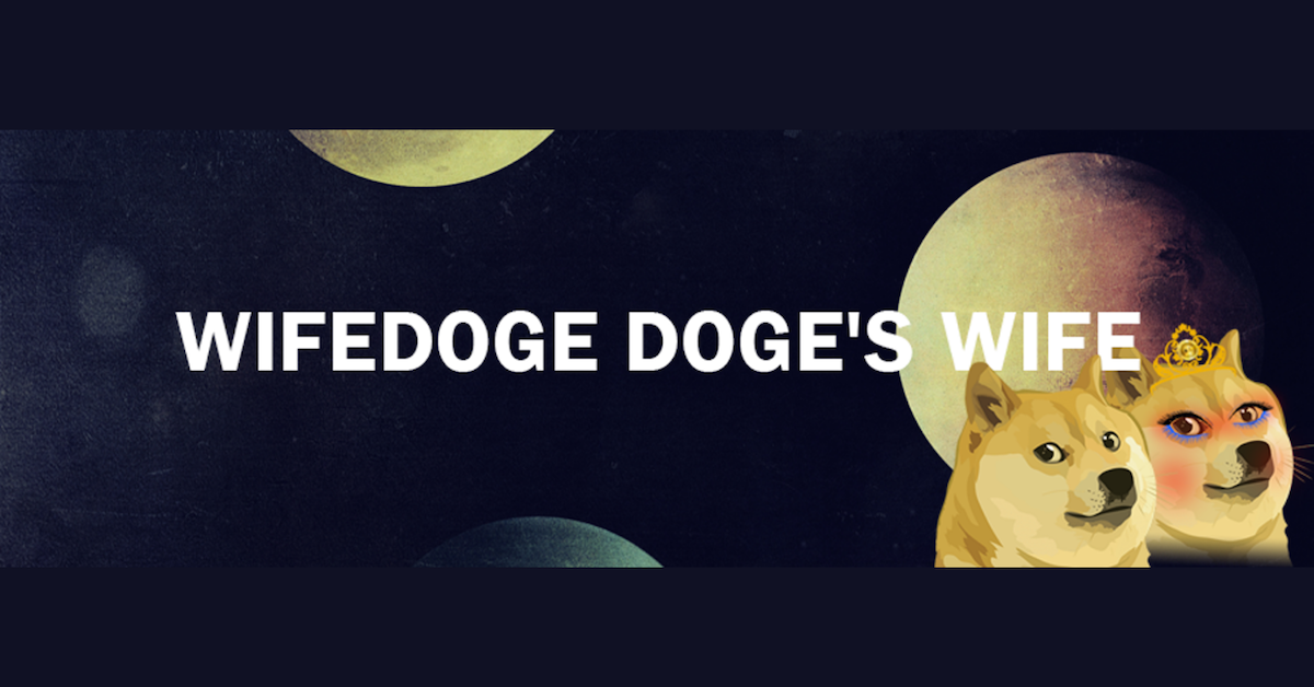 where to buy wifedoge crypto