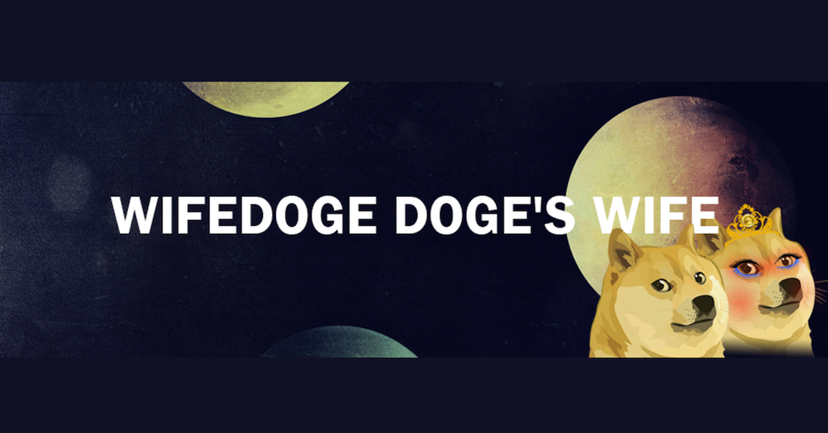 wifedoge crypto where to buy