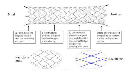 uploads///neuroform atlas