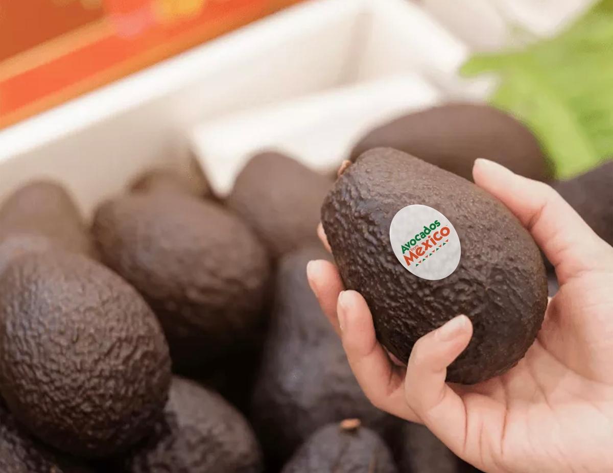 The Avocado Shortage, Explained — U.S. Suspends Mexico Imports