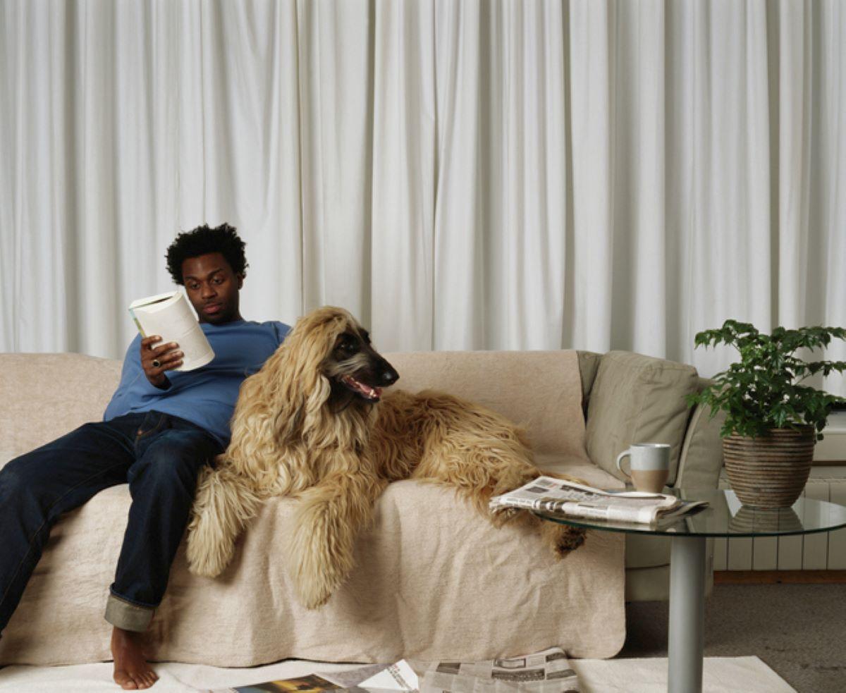 man and afghan hound on the couch