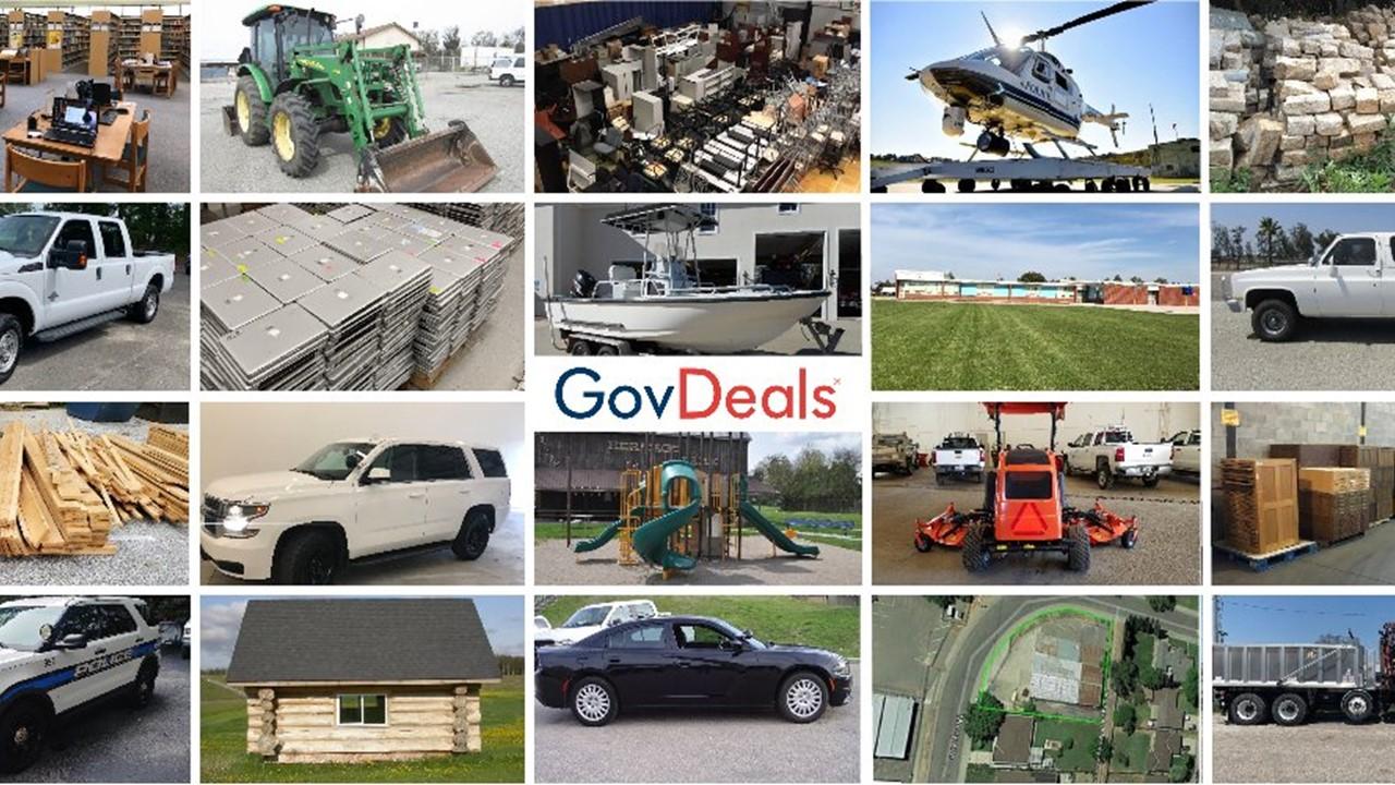 GovDeals items and logo