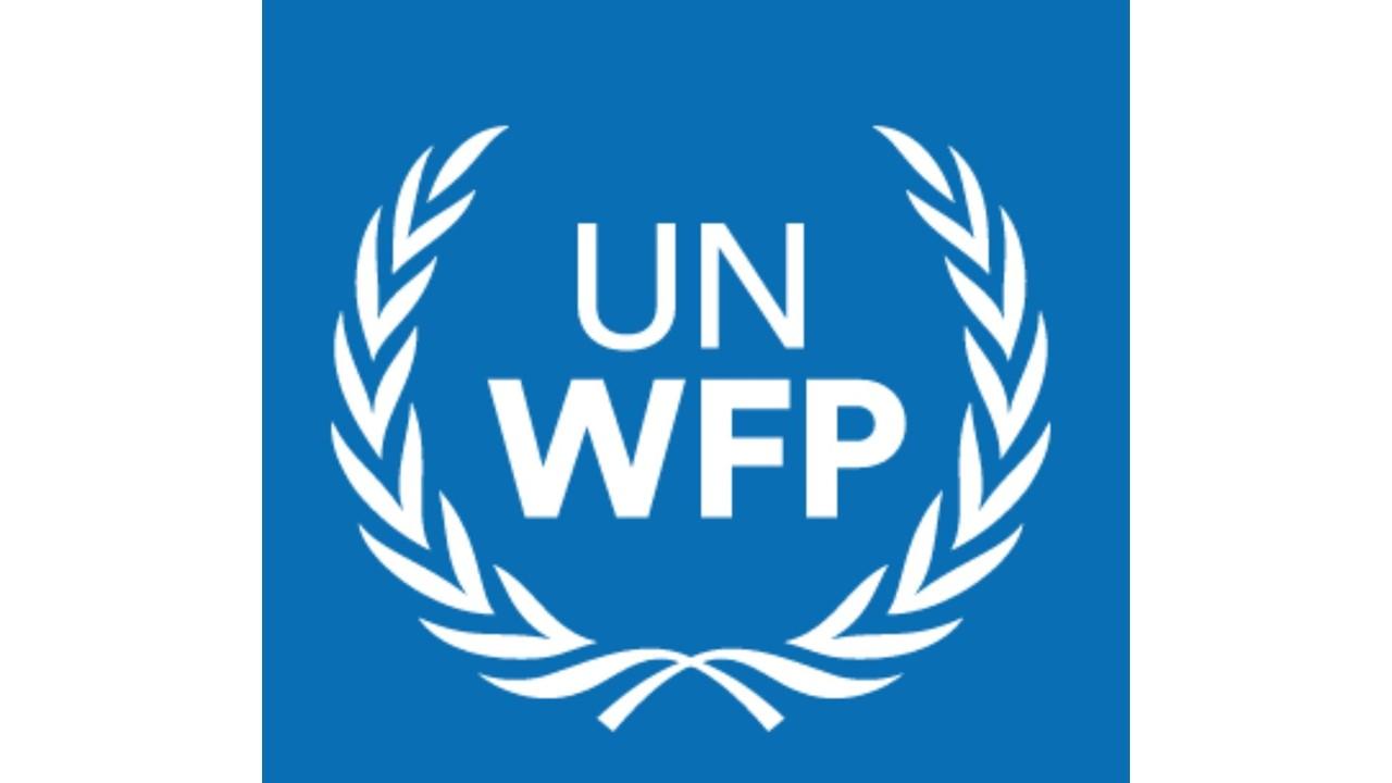 world food programme organization