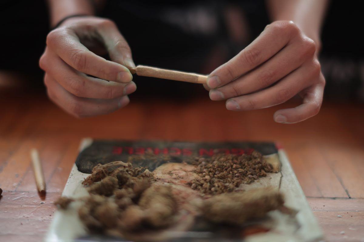 Person rolling marijuana