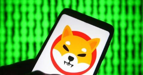Shiba logo on a smartphone