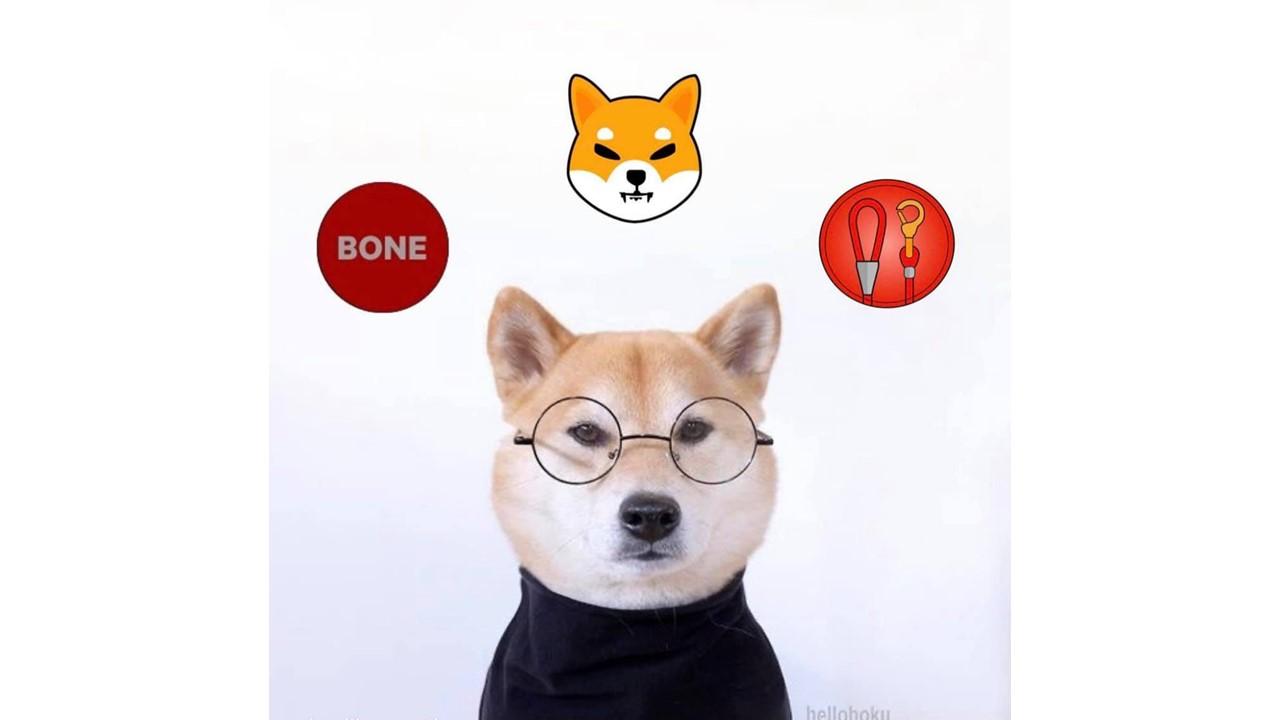 Shiba Inu (SHIB) Coin Price Prediction for 2025