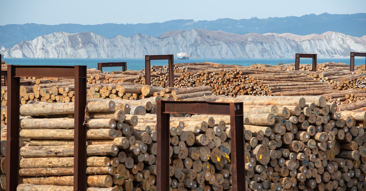 5 Best Lumber Stocks to Invest in as Prices Drop and Demand Picks Up