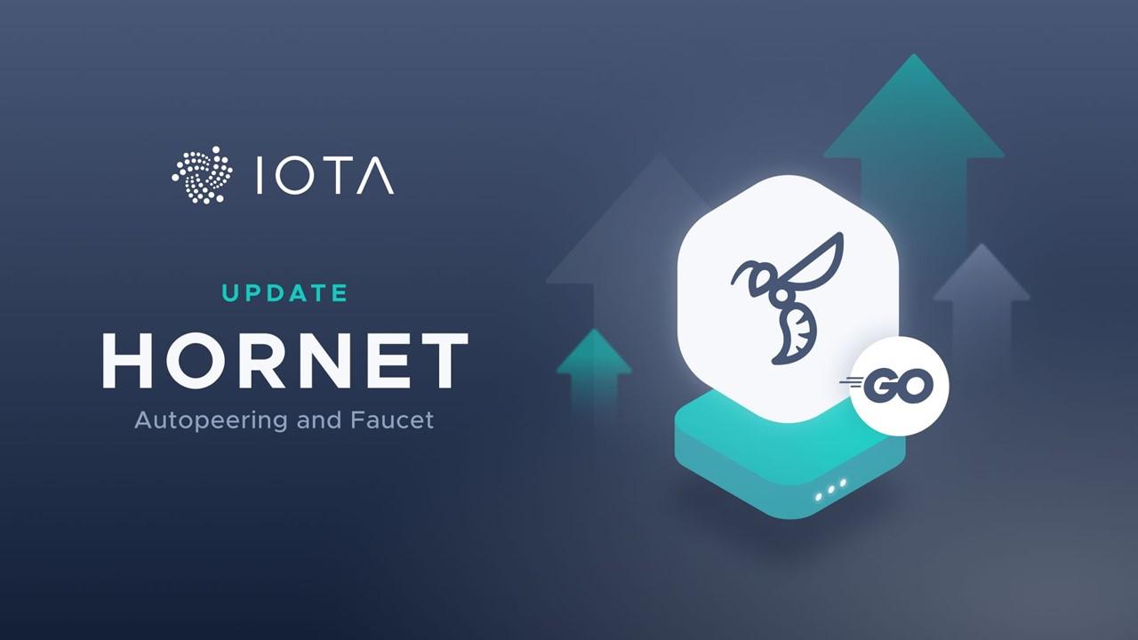 iota hornet