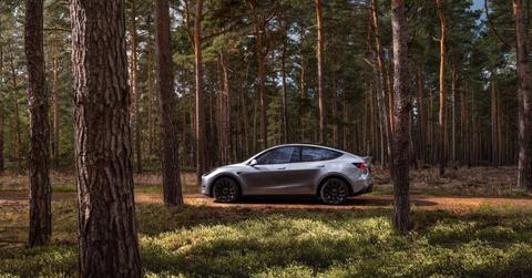 A silver Tesla Model Y in the forrest