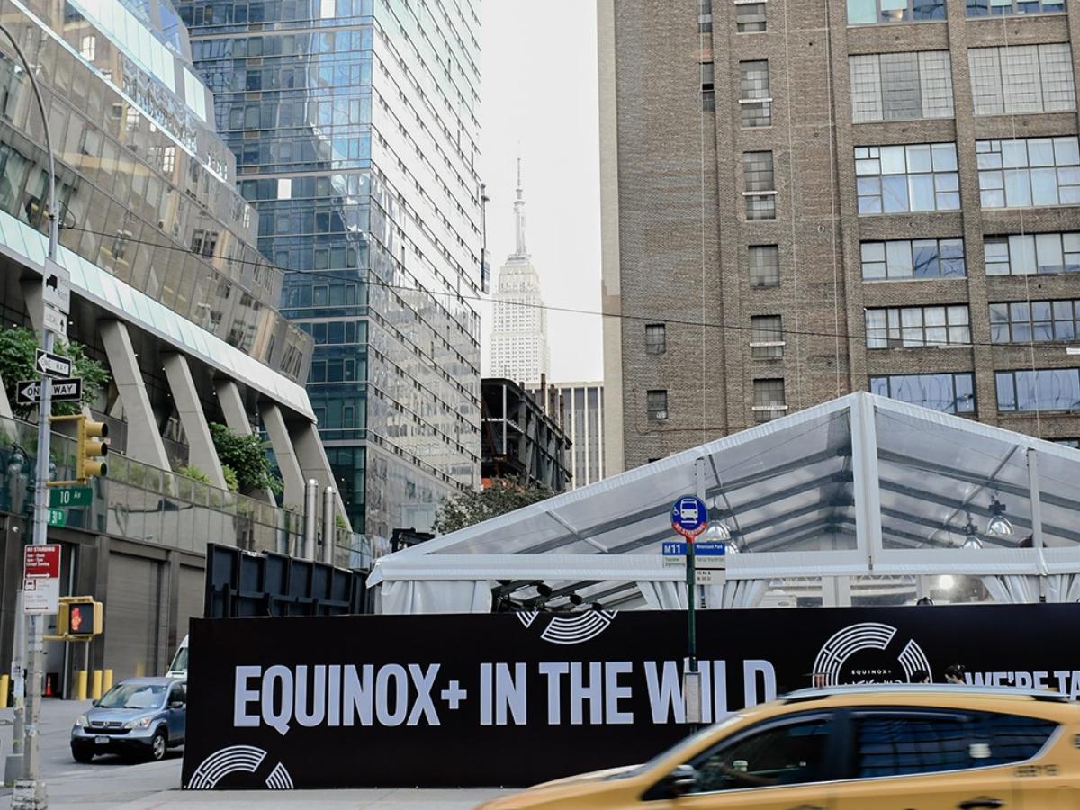 equinox stock forecast