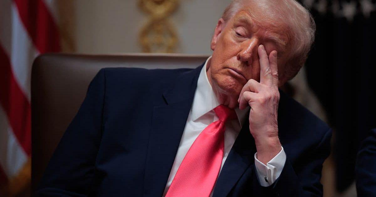 pn//uploads/adb ef f bded__