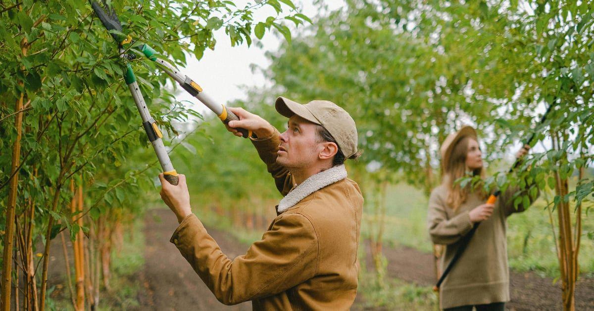 pn//uploads/e ebf ee aad fa__