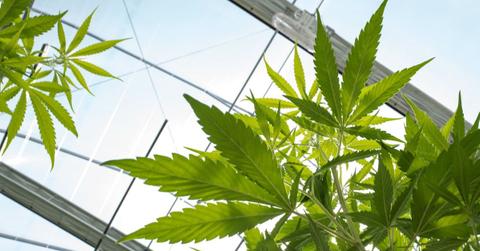 pn//uploads/cd ee bdf eddc__