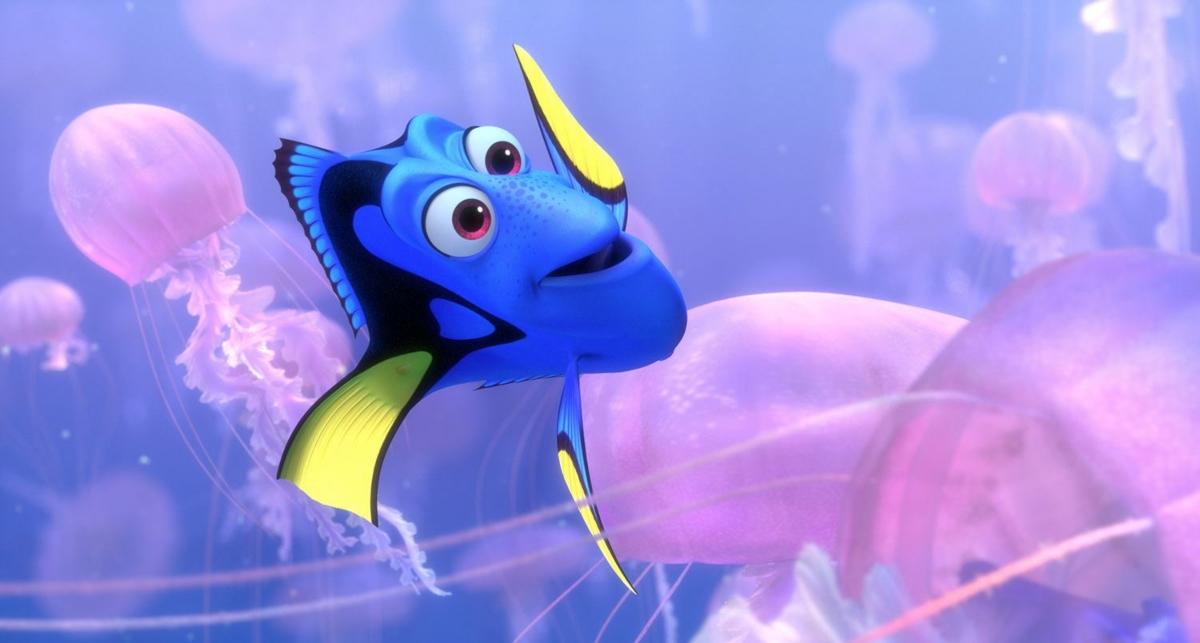 dory