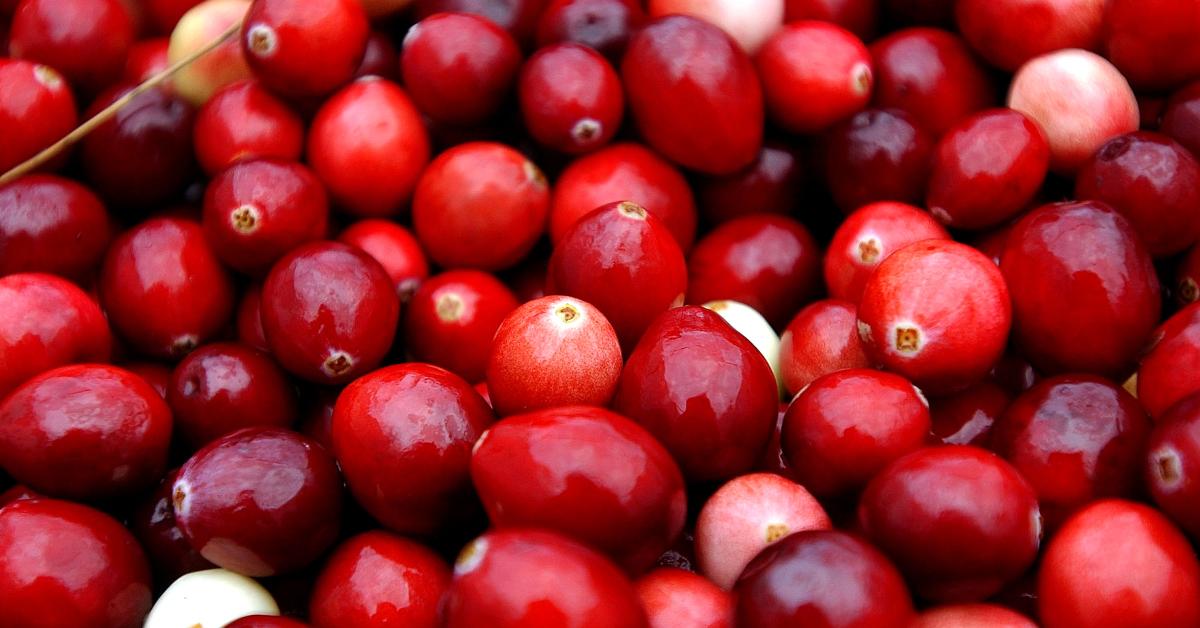 Is There a Cranberry Shortage as the Holiday Season Approaches?