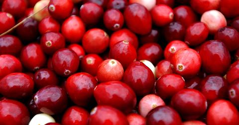 Cranberries at a farm