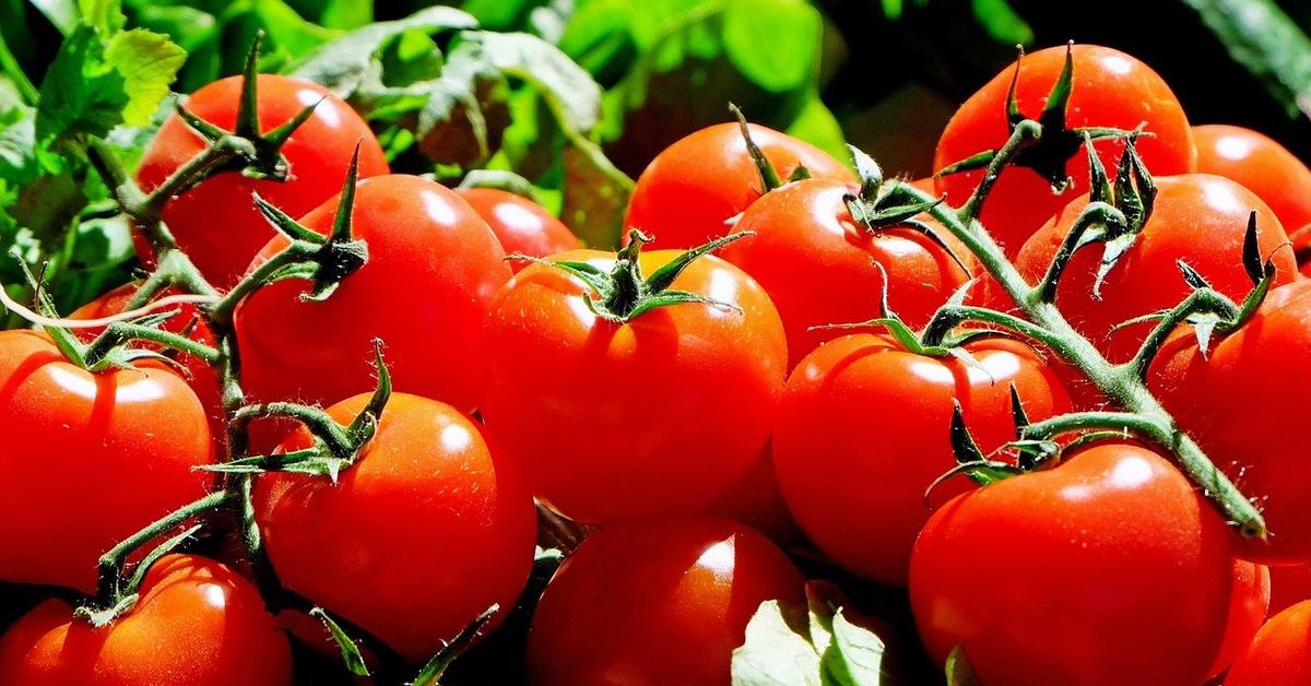 What Is Causing the Tomato and Ketchup Shortage in 2022?