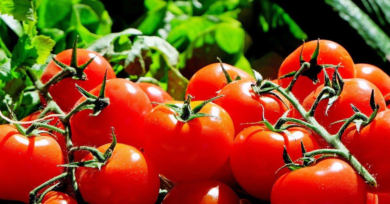 What Is Causing the Tomato and Ketchup Shortage in 2022?