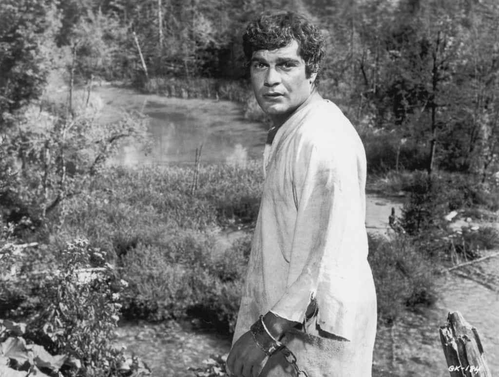 pn/bedad d c  bbdaab