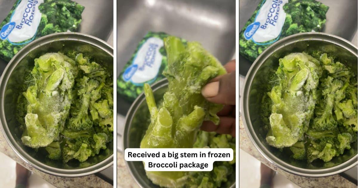 pn//uploads/cf f ee a cfbbd__