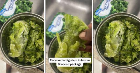 pn//uploads/cf f ee a cfbbd__