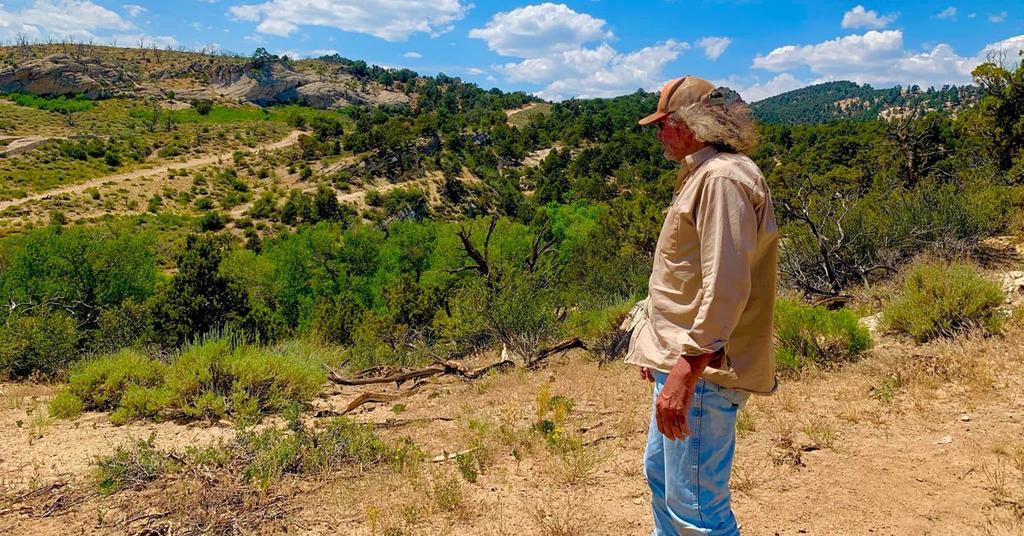 Who Owns Blind Frog Ranch? All About the Tourist Attraction