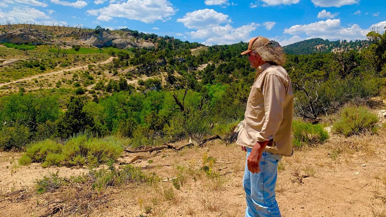 Who Owns Blind Frog Ranch? All About the Tourist Attraction