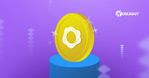 Hodlnaut logo over purple background