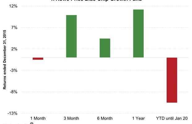 Which Core Picks Proved Fruitful for TRBCX in 2015?