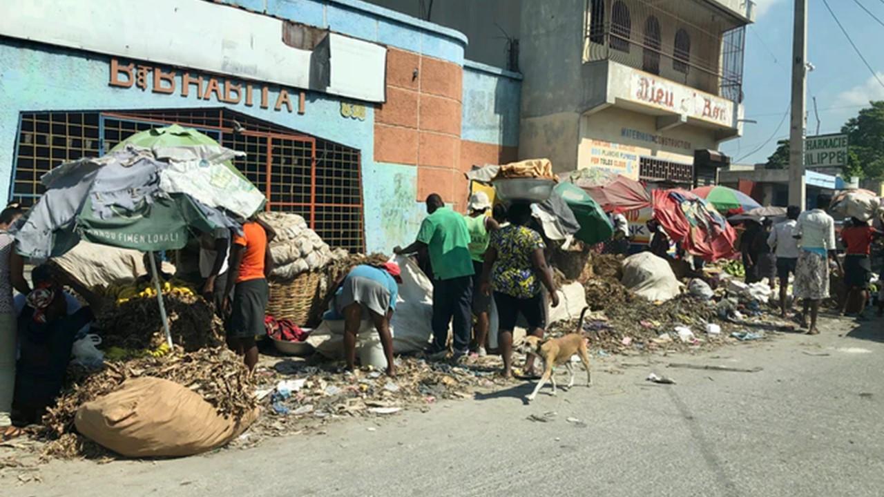 haiti mining