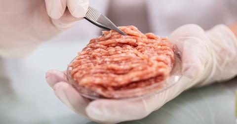 lab grown meat stock