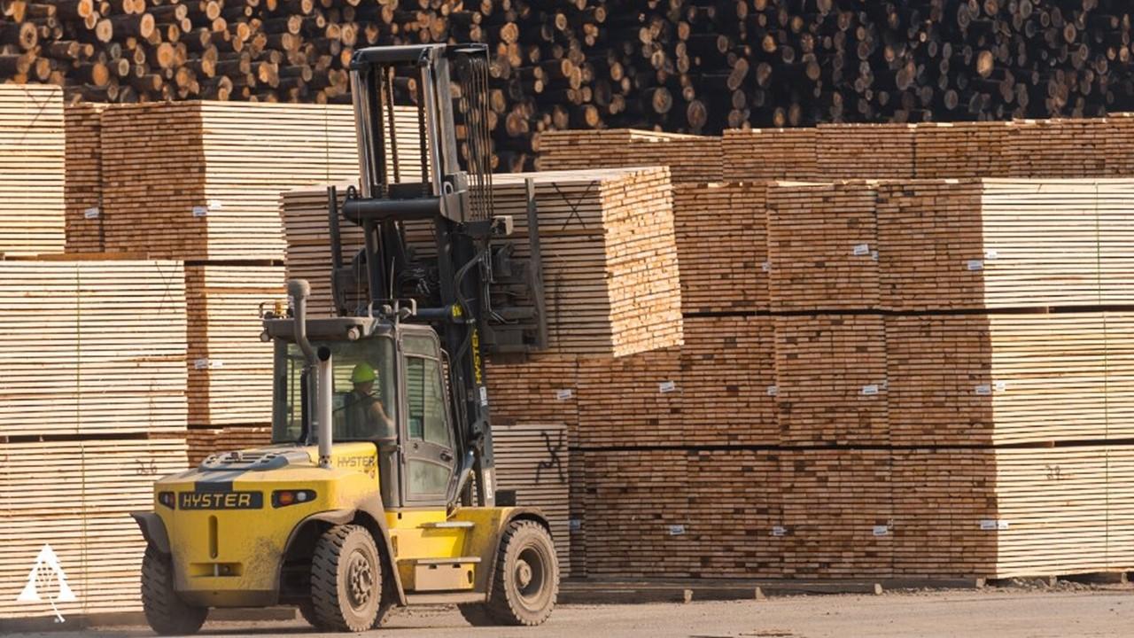 investing in lumber