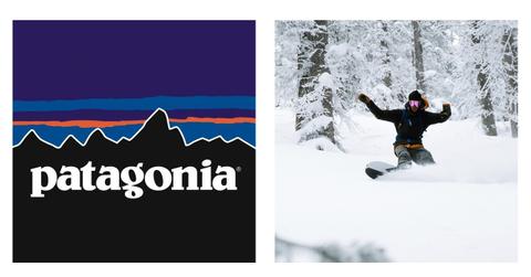 is patagonia publicly traded