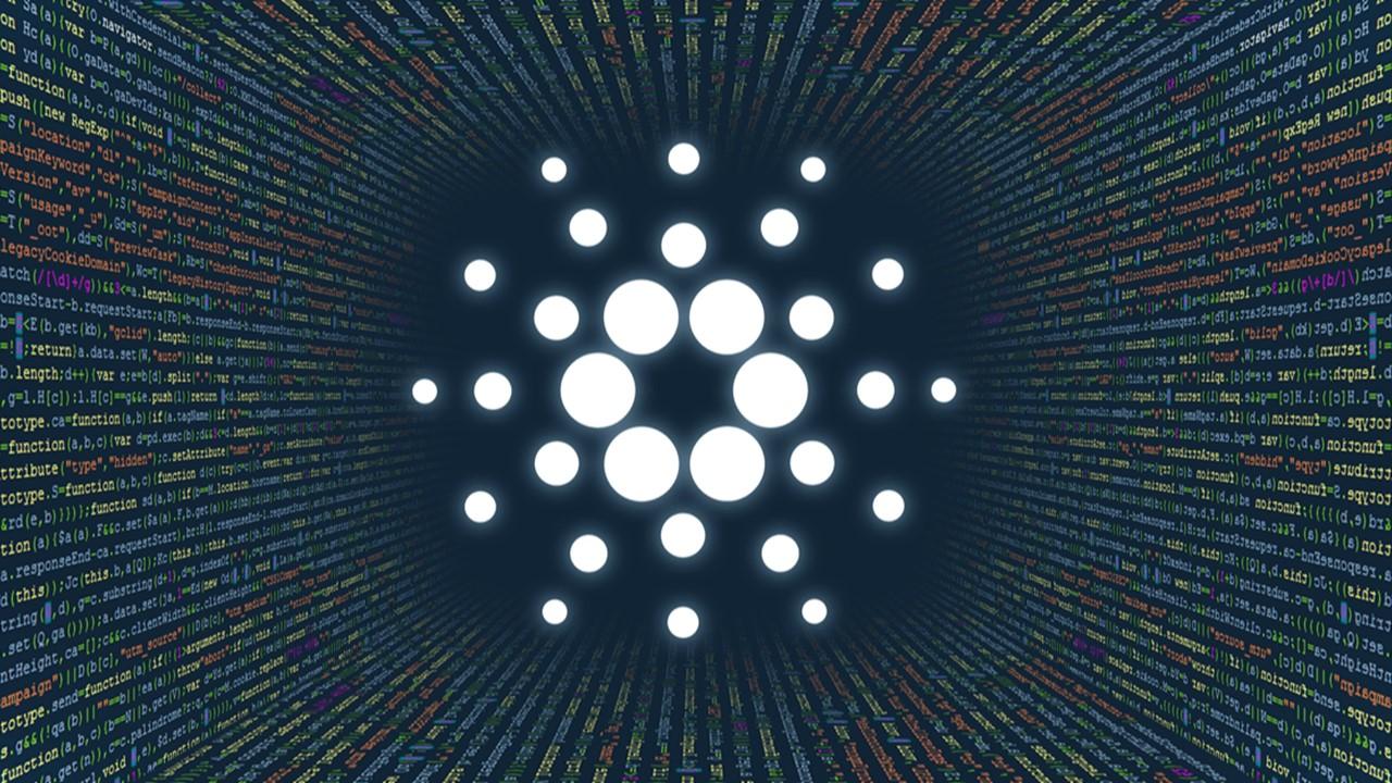 cardano investment