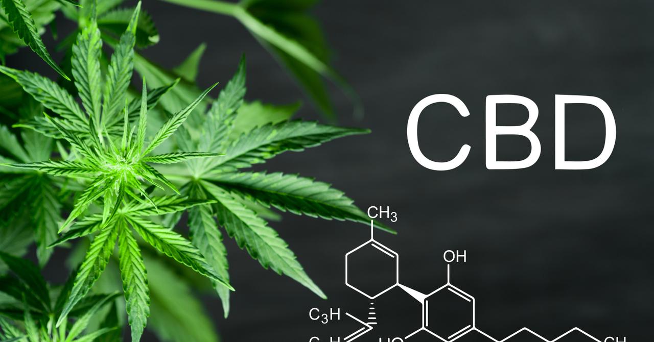 Analyzing the Top 3 CBD Companies to Buy in July