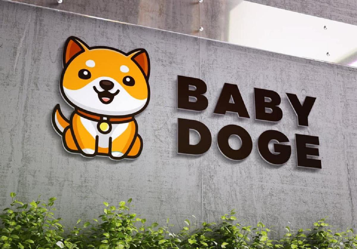 The Babydoge logo on a building