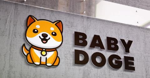 The Babydoge logo on a building