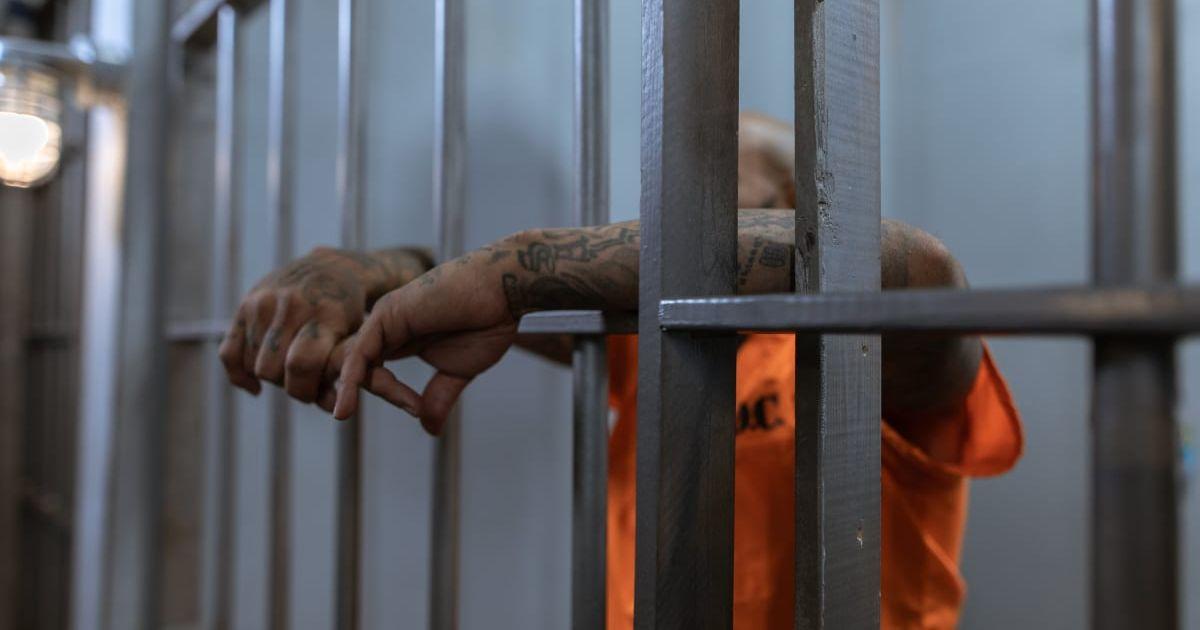 pn//uploads/caab  ee bd b__