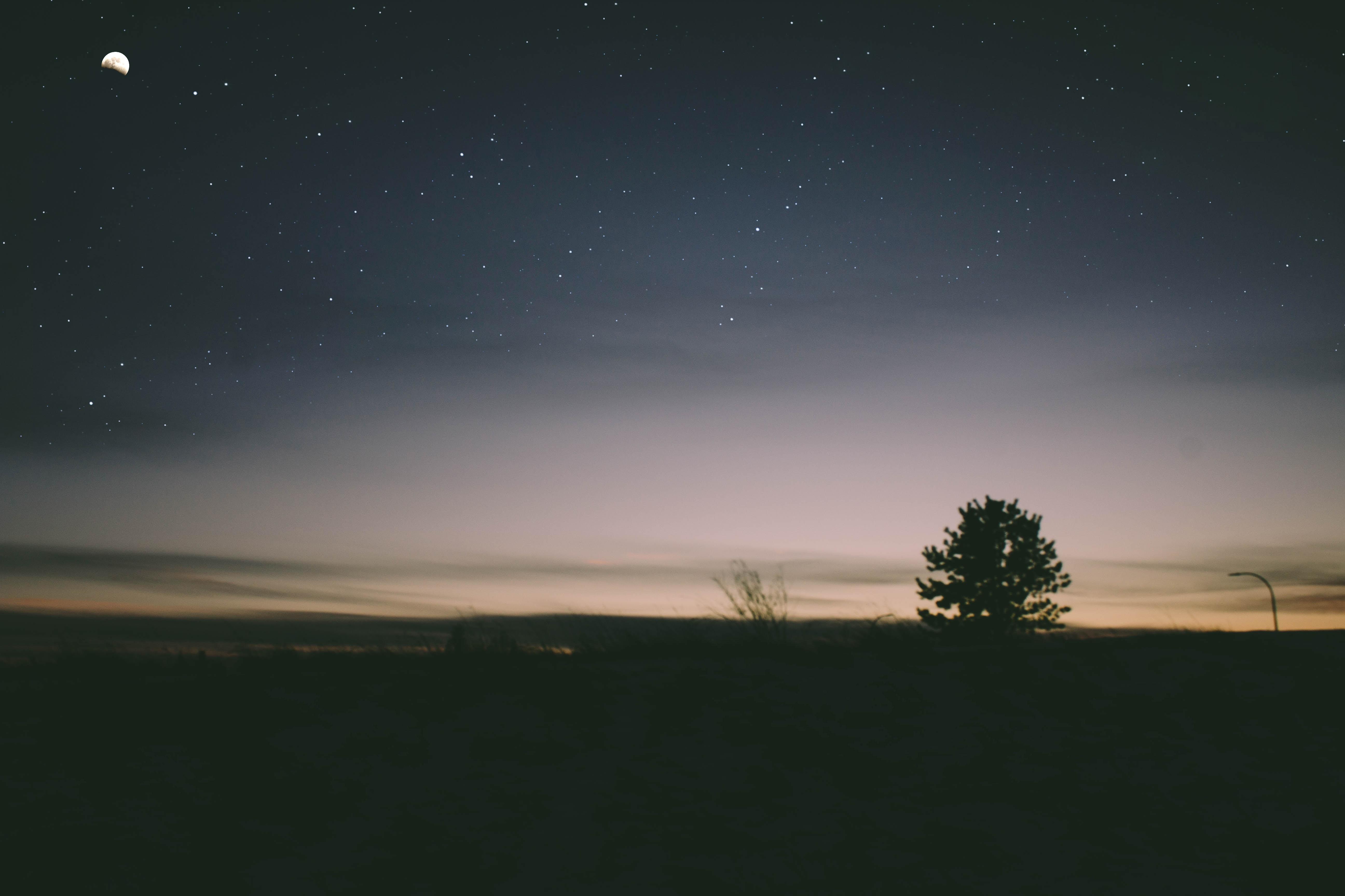uploads///brendon thompson F oPgSb unsplash