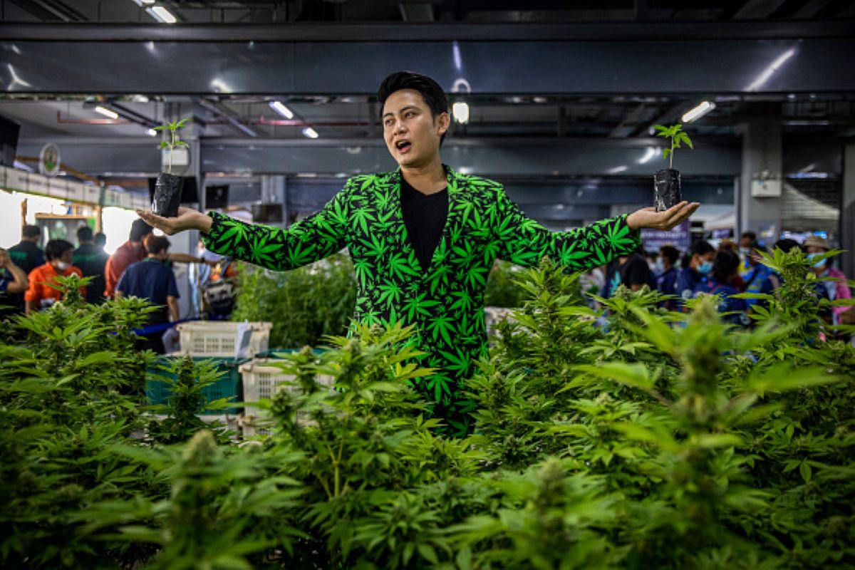 A marijuana business owner dressed in a marijuana suit at an expo