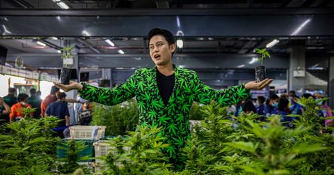A marijuana business owner dressed in a marijuana suit at an expo