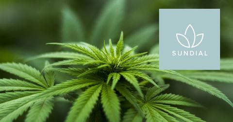 Sundial Growers’ (SNDL) Stock Forecast for 2021